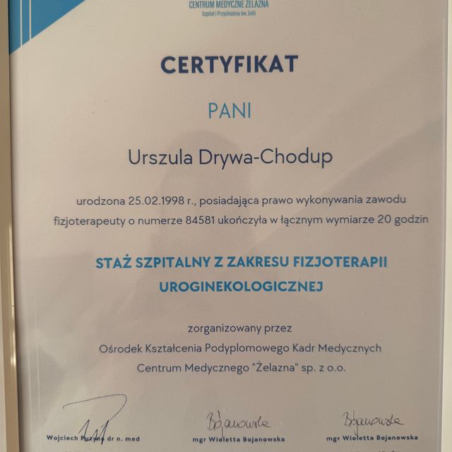 Powiększ obraz: certificate 2