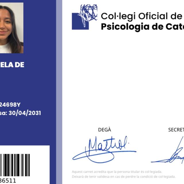 Acercar imagen: certificate 8