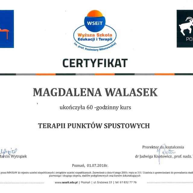 Powiększ obraz: certificate 7