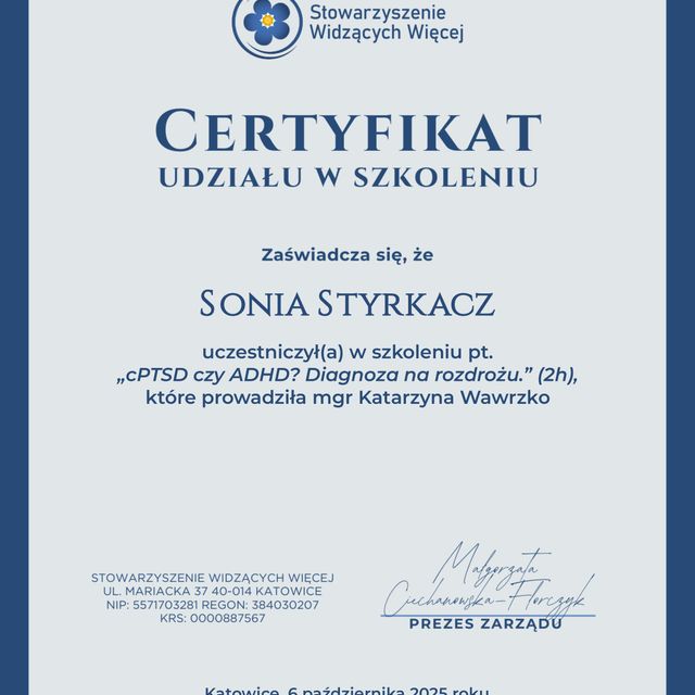 Powiększ obraz: certificate 2