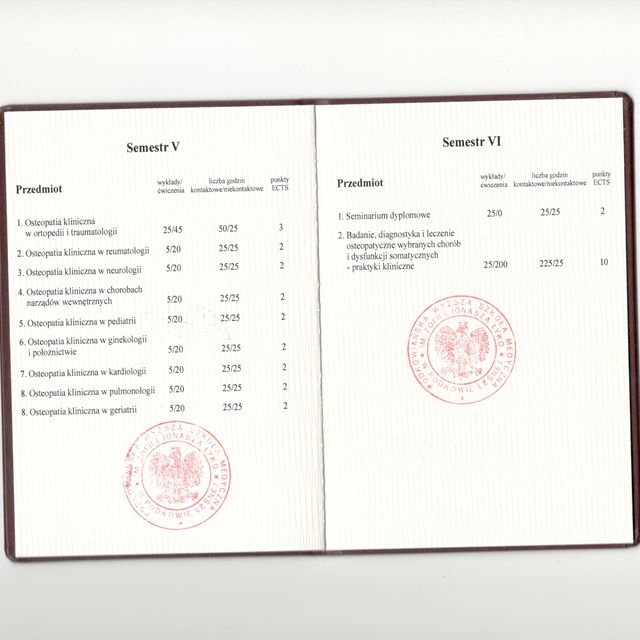 Powiększ obraz: certificate 31