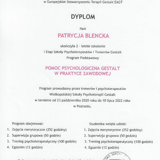 Powiększ obraz: certificate 2