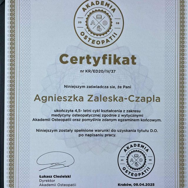 Powiększ obraz: certificate 19