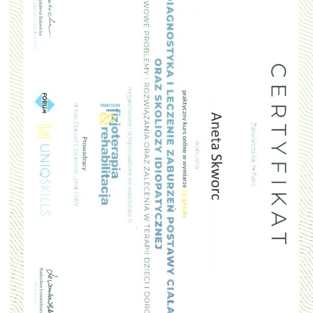 Powiększ obraz: certificate 9