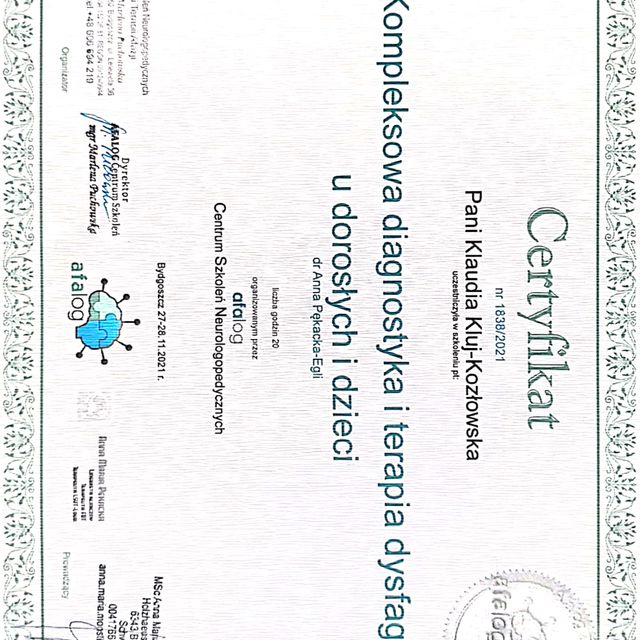 Powiększ obraz: certificate 3