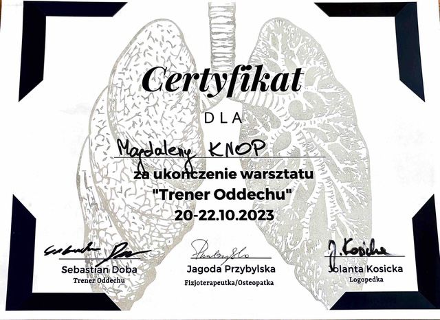 Powiększ obraz: certificate 8