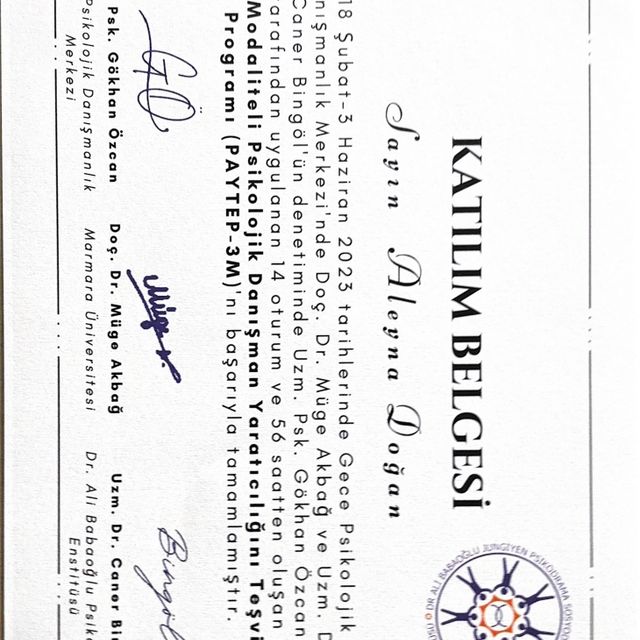 Resmi büyüt: certificate 3