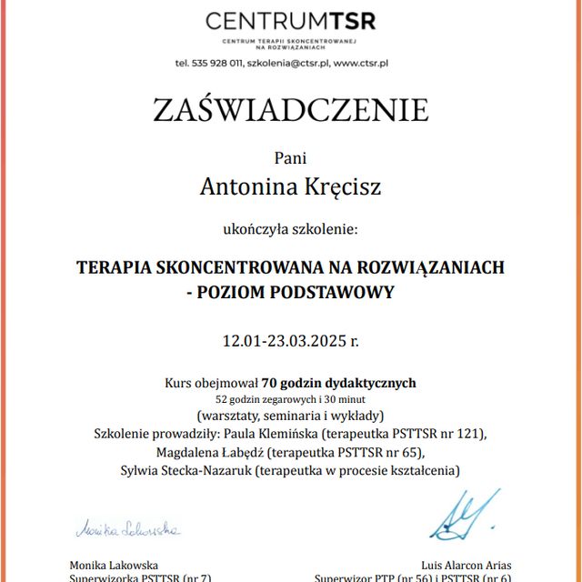 Powiększ obraz: certificate 1
