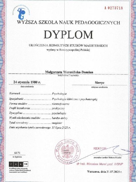 Powiększ obraz: certificate 2