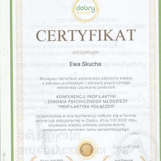 Powiększ obraz: certificate 7