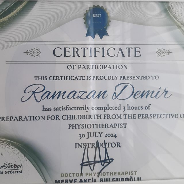Resmi büyüt: certificate 12