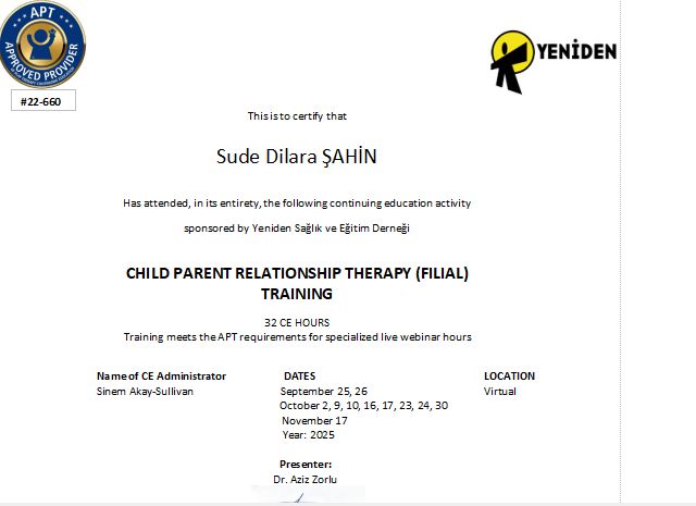 Resmi büyüt: certificate 1