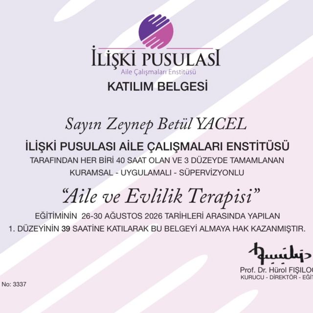 Resmi büyüt: certificate 4