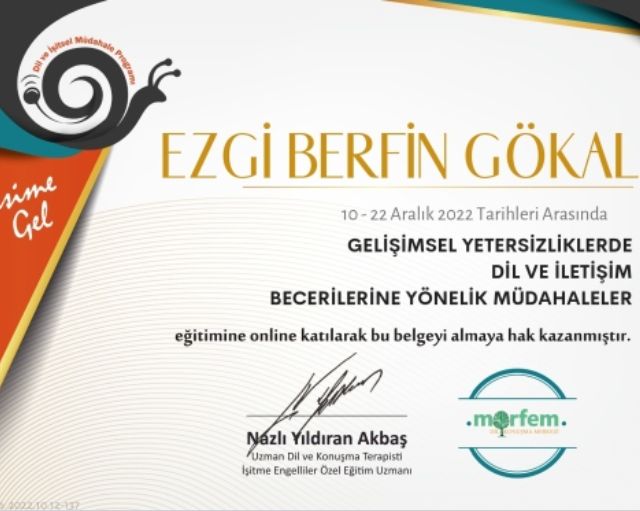 Resmi büyüt: certificate 4