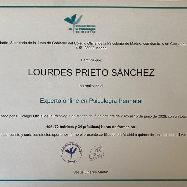 Acercar imagen: certificate 6