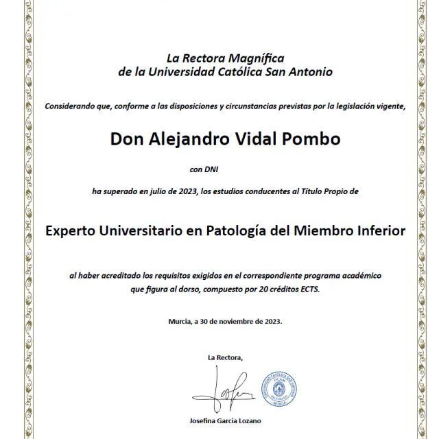 Acercar imagen: certificate 5