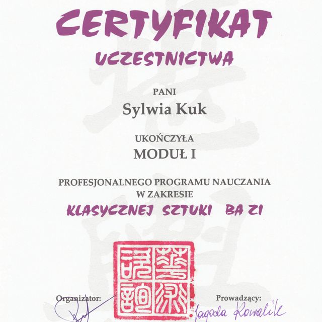 Powiększ obraz: certificate 6
