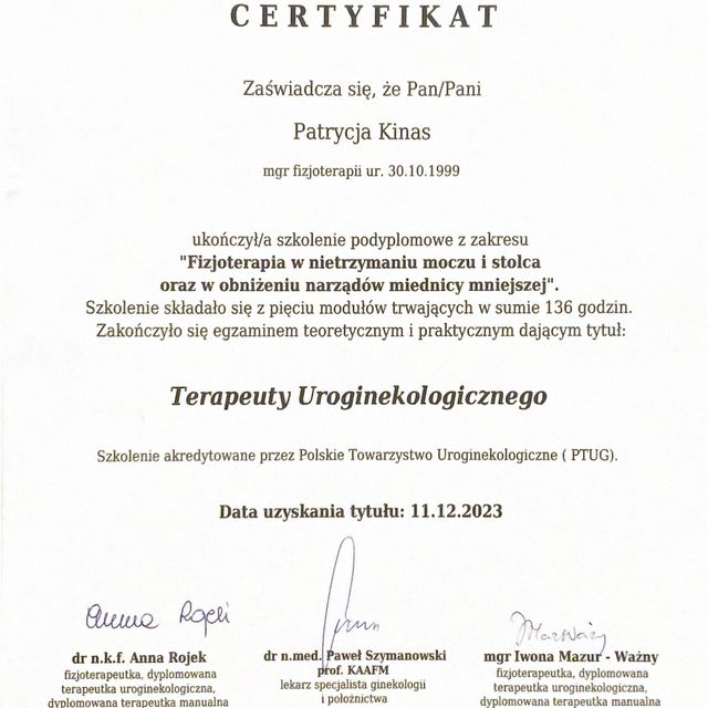 Powiększ obraz: certificate 1