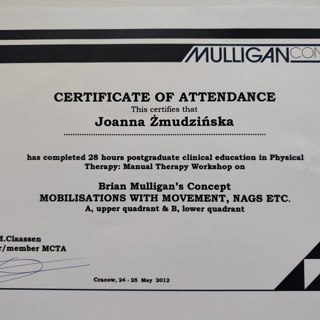 Powiększ obraz: certificate 1