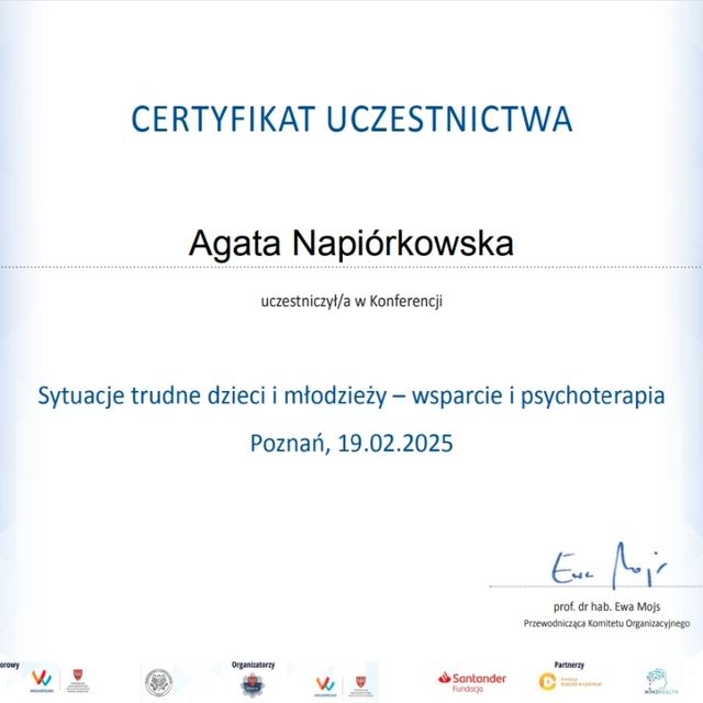 Powiększ obraz: certificate 2