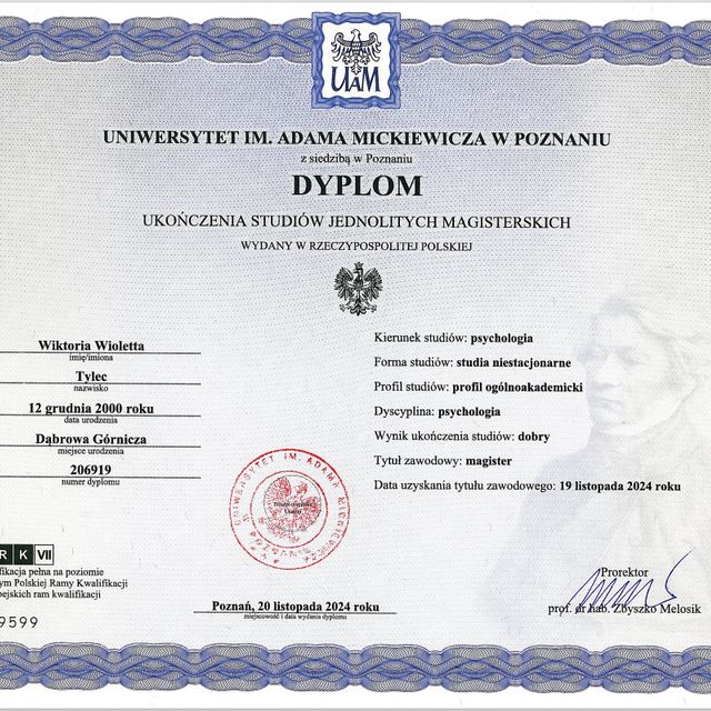 Powiększ obraz: certificate 1