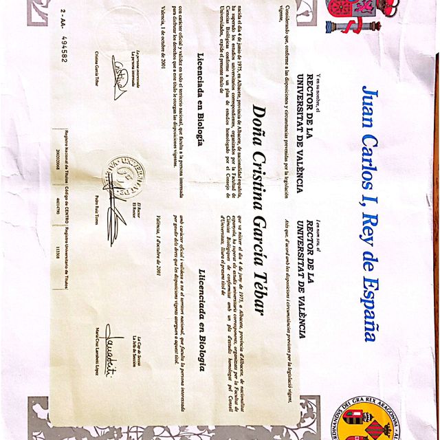 Acercar imagen: certificate 6