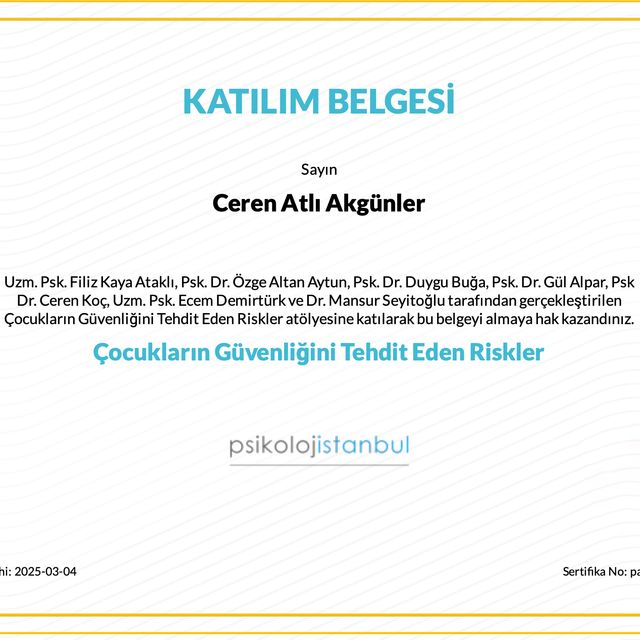 Resmi büyüt: certificate 13