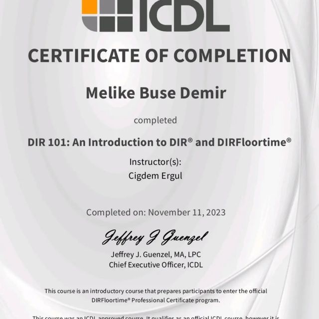Resmi büyüt: certificate 1