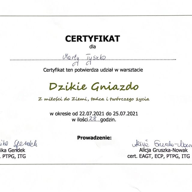 Powiększ obraz: certificate 41