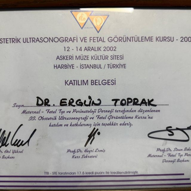 Resmi büyüt: certificate 1