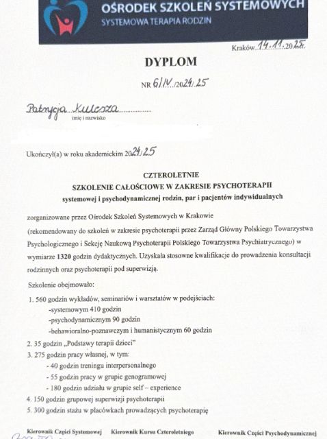 Powiększ obraz: certificate 1