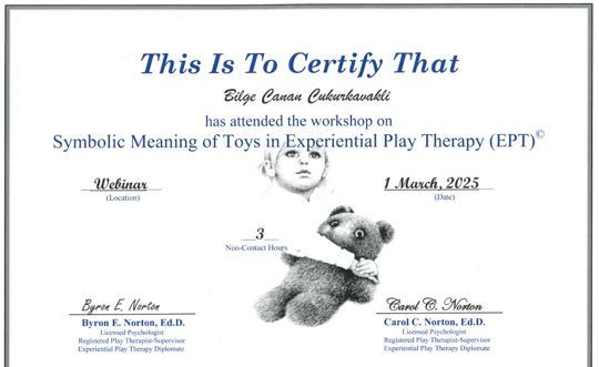 Resmi büyüt: certificate 3