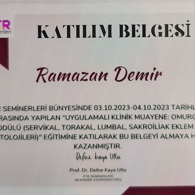 Resmi büyüt: certificate 27