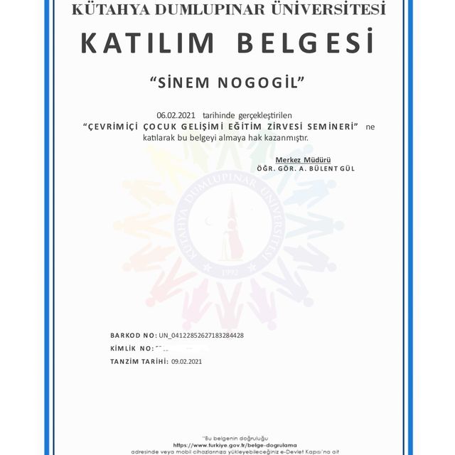Resmi büyüt: certificate 3