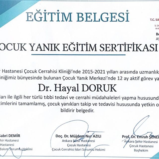 Resmi büyüt: certificate 5