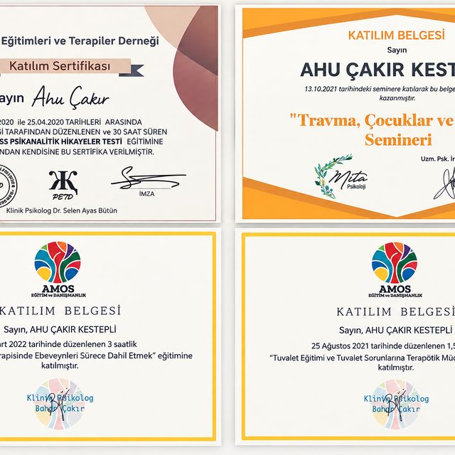 Resmi büyüt: certificate 3