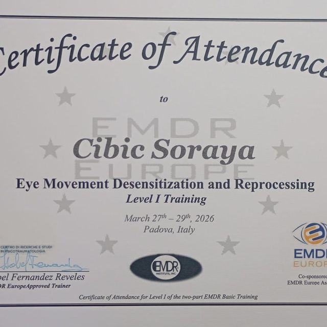 Ingrandire l'immagine: certificate 3