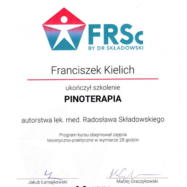 Powiększ obraz: certificate 4