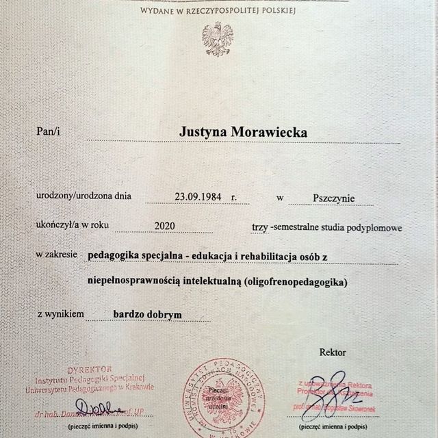 Powiększ obraz: certificate 7
