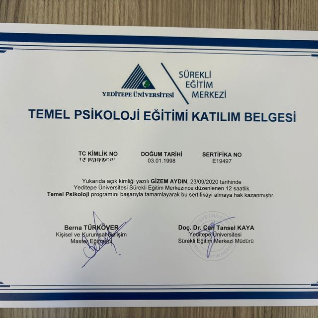 Resmi büyüt: certificate 2