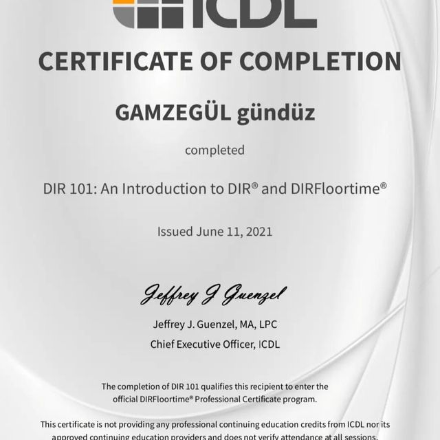 Resmi büyüt: certificate 4