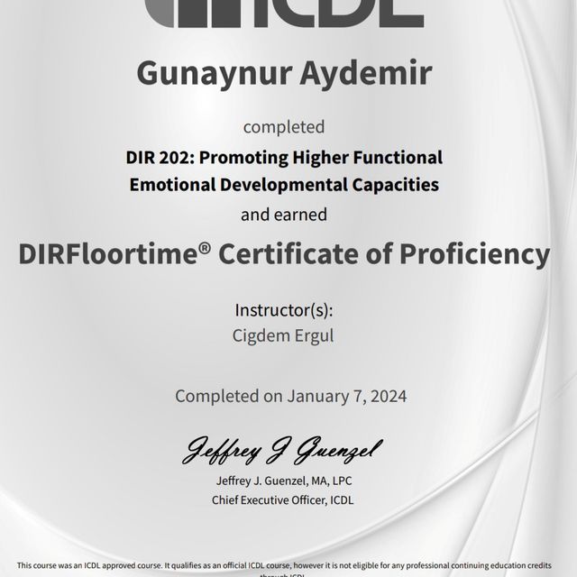 Resmi büyüt: certificate 2