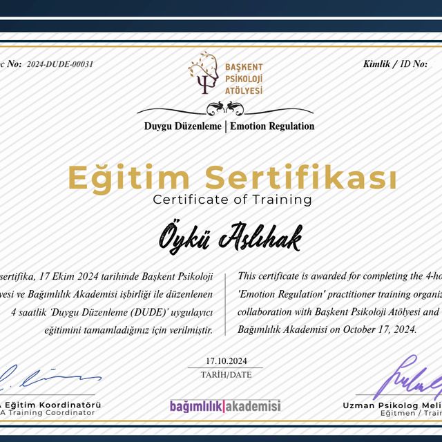 Resmi büyüt: certificate 2