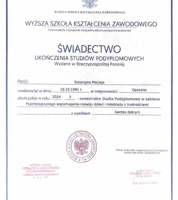 Powiększ obraz: certificate 3