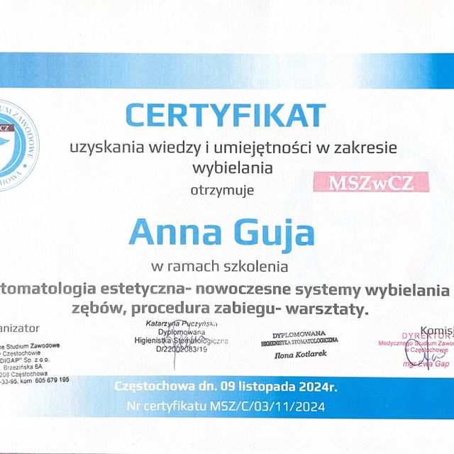 Powiększ obraz: certificate 1