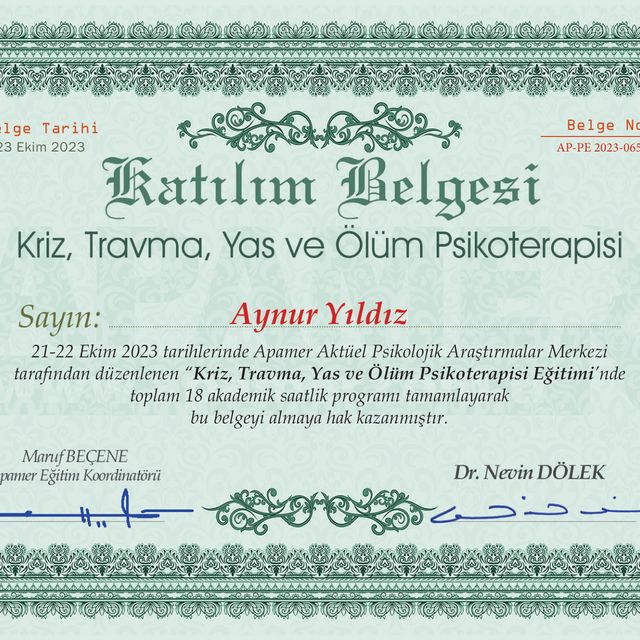 Resmi büyüt: certificate 40
