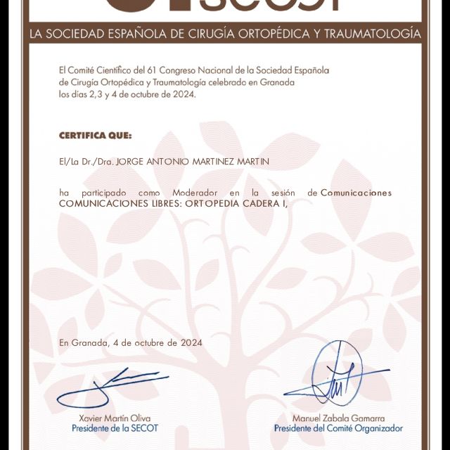 Acercar imagen: certificate 1