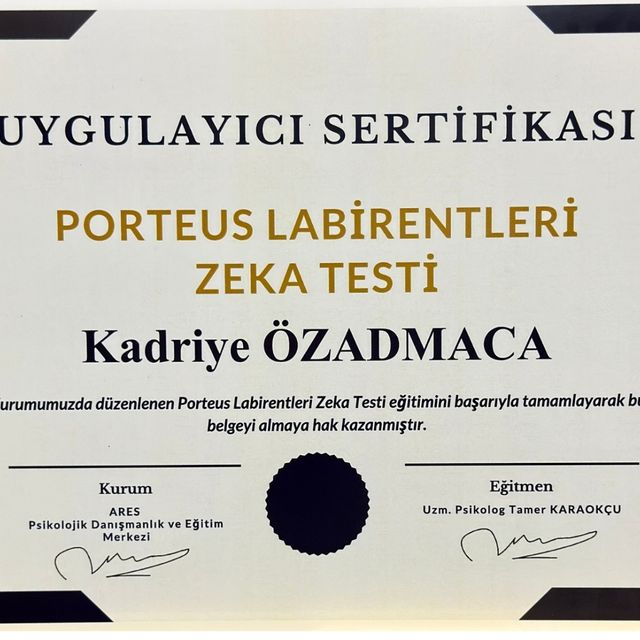 Resmi büyüt: certificate 56