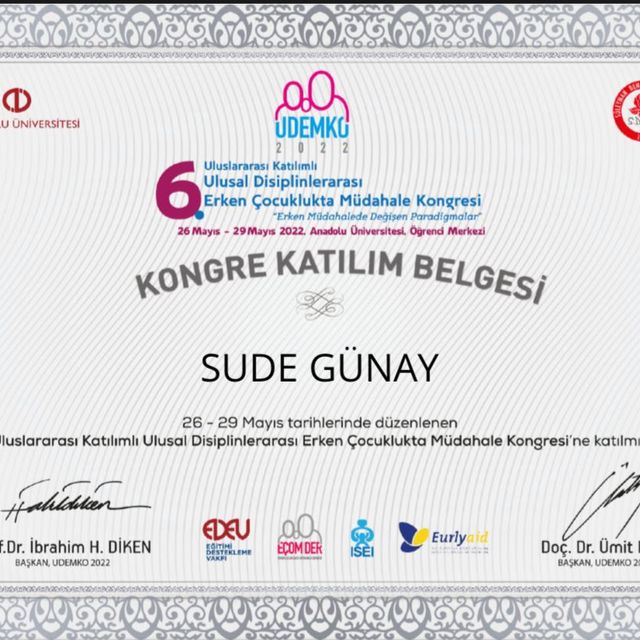 Resmi büyüt: certificate 8