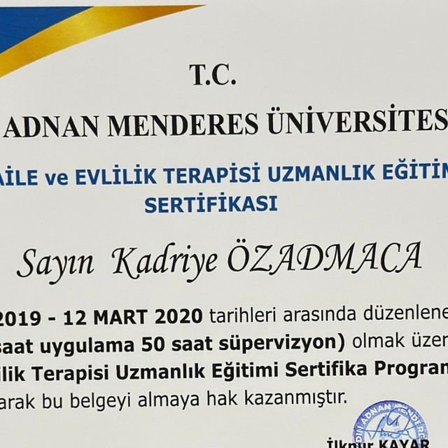 Resmi büyüt: certificate 43